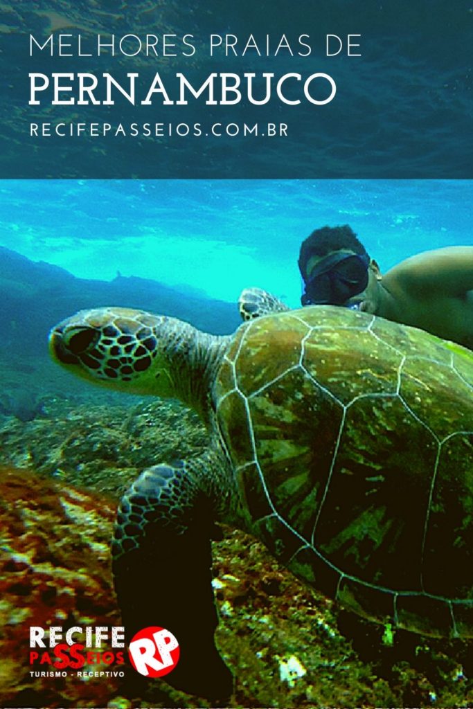 Melhores praias de Pernambuco