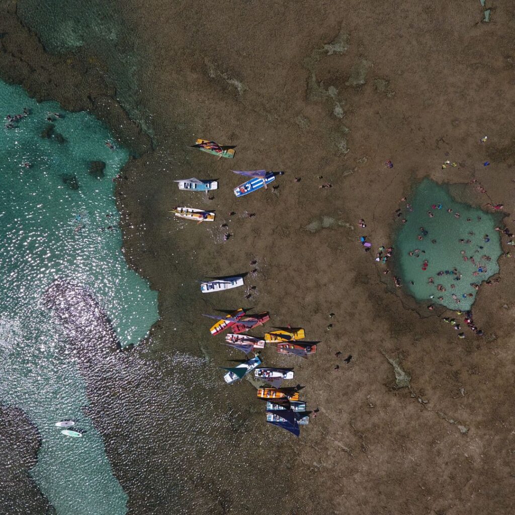 Melhor época Porto de Galinhas