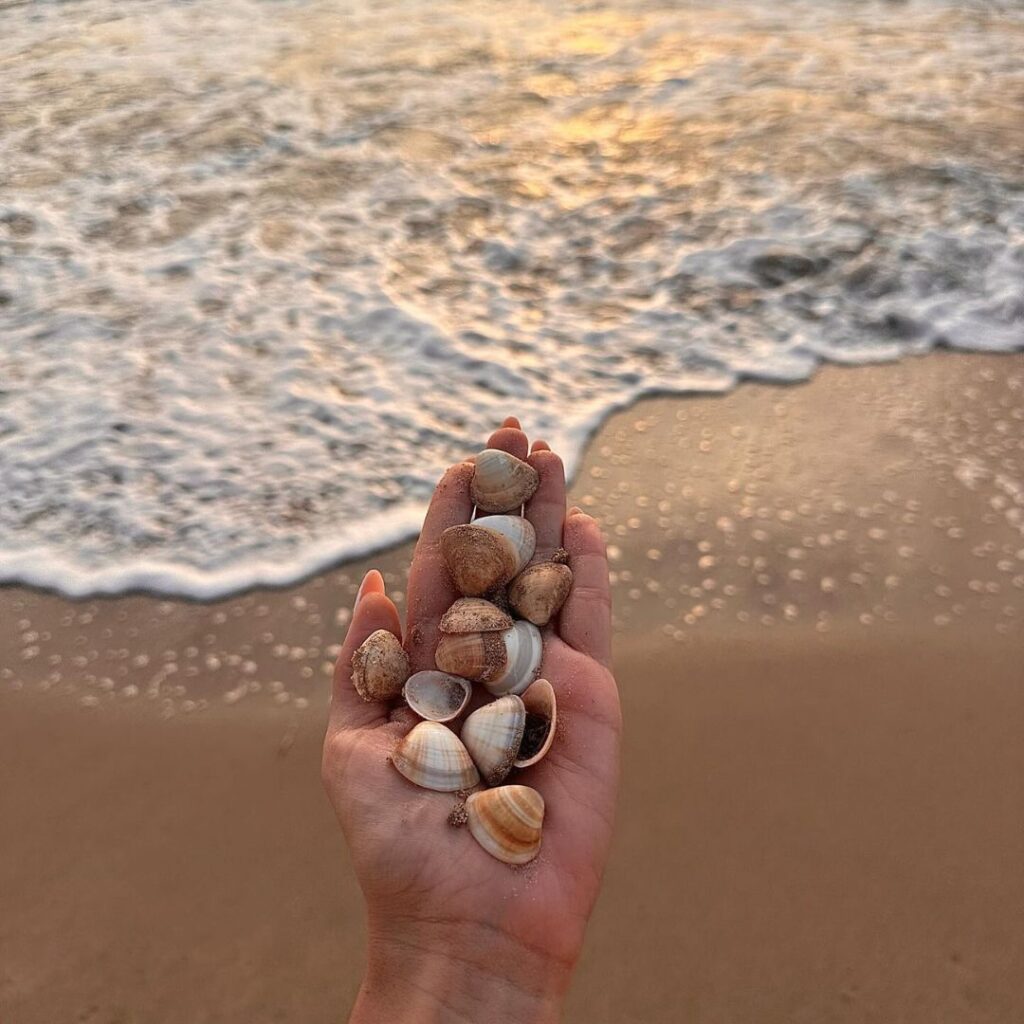 Praia de Japaratinga