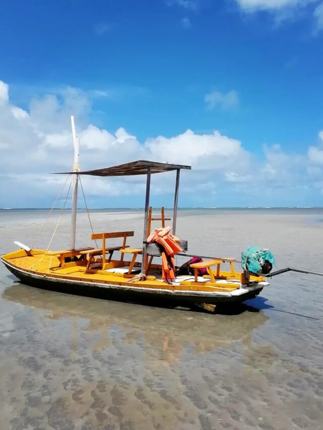 Jangada na praia de Japaratinga