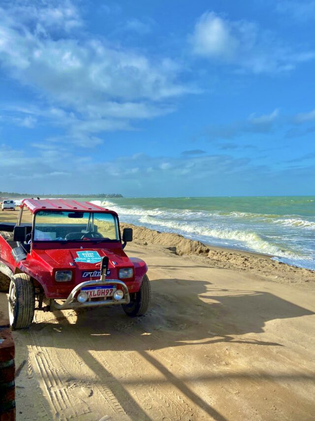 Roteiro de um dia em Porto de Galinhas