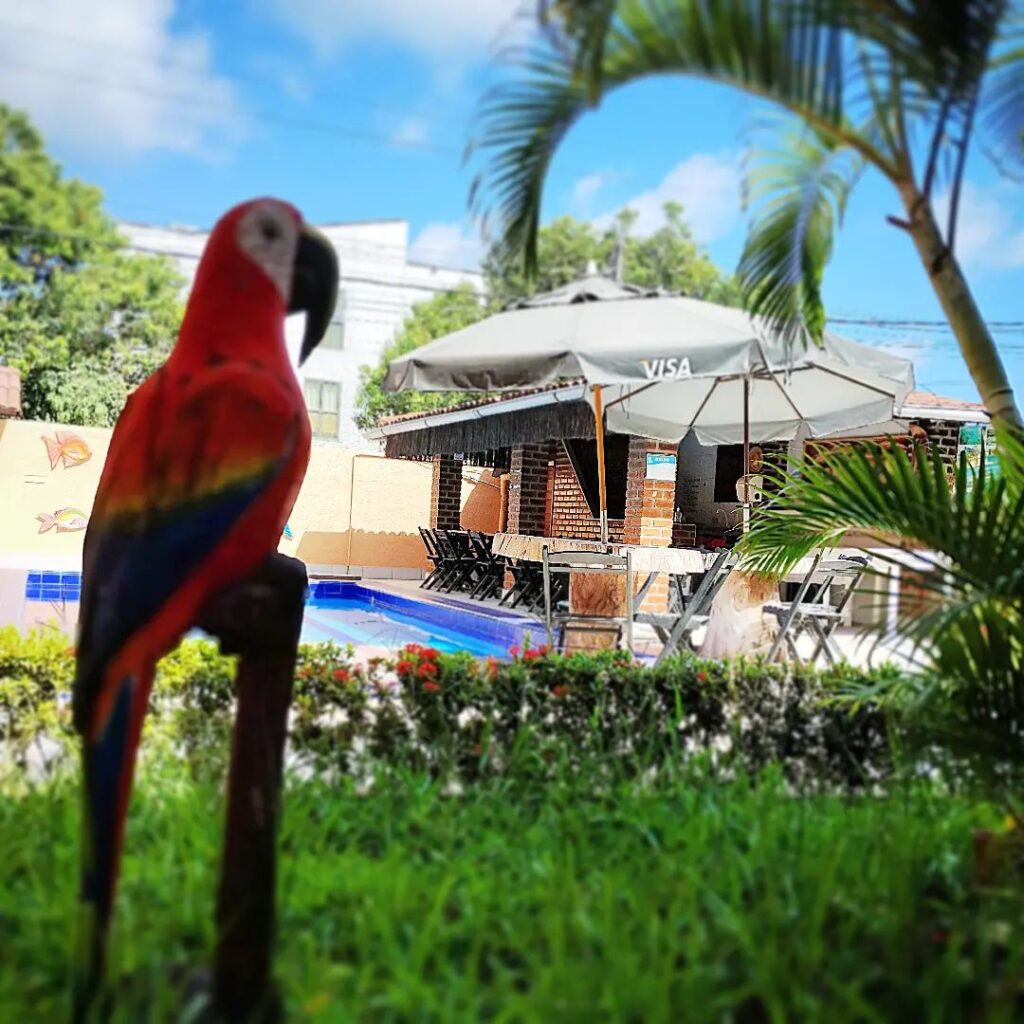 Pousada Potiguar