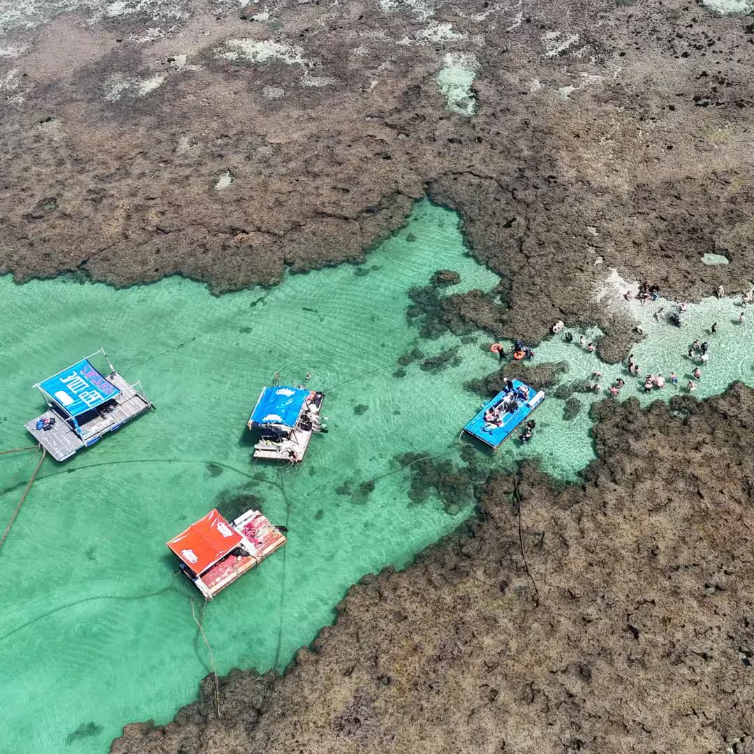 Porto de Galinhas em agosto: dicas de anfitrião