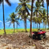 Dicas de segurança em Porto de Galinhas