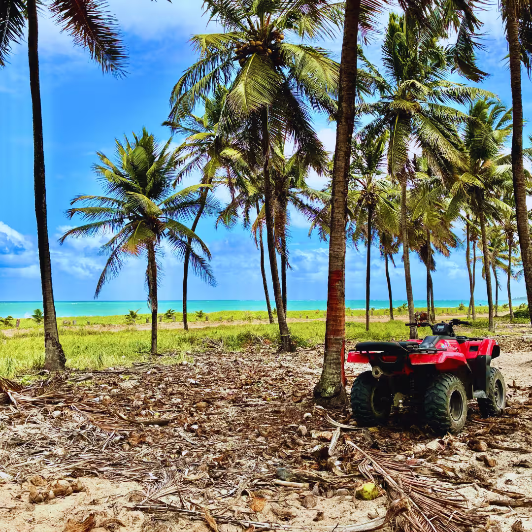 Dicas de segurança em Porto de Galinhas